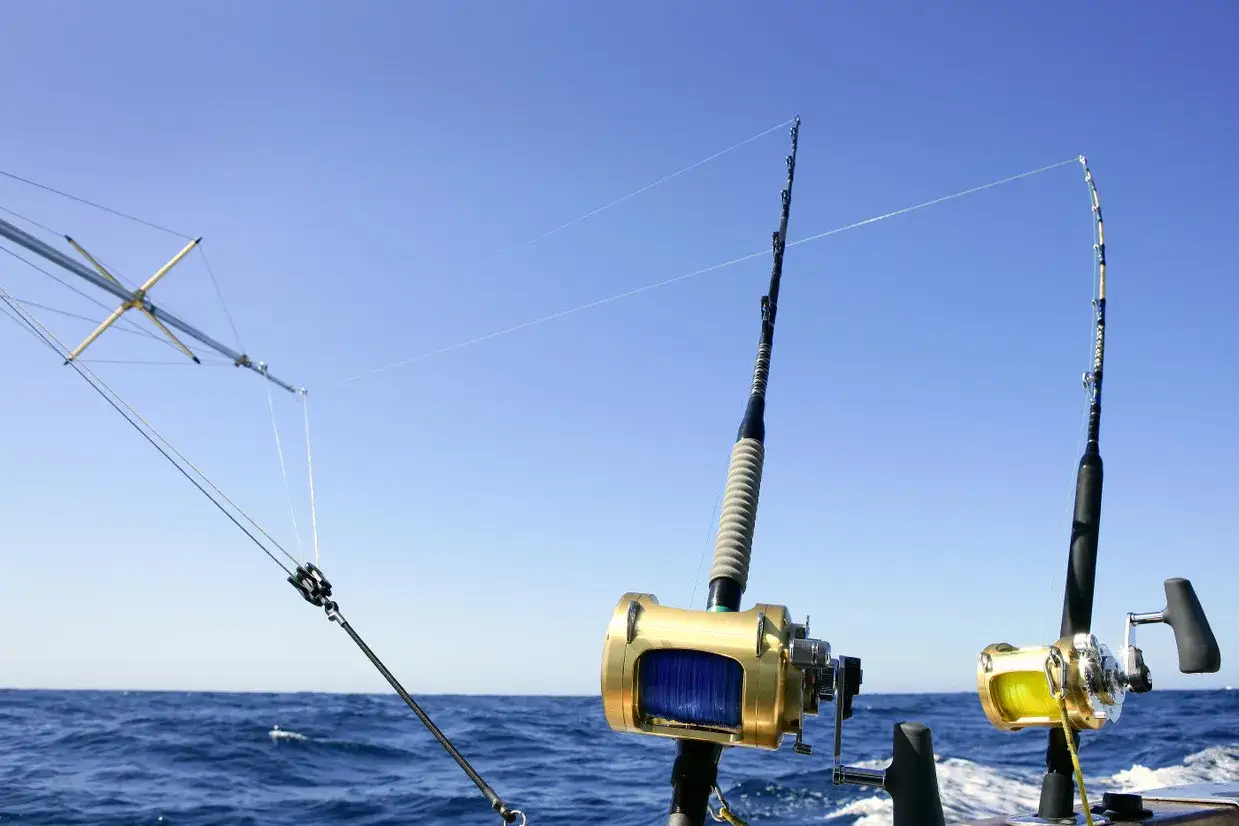 Canna da pesca con mulinelli dorati e gialli, pronti per diversi metodi di pesca in mare aperto sotto un cielo azzurro.