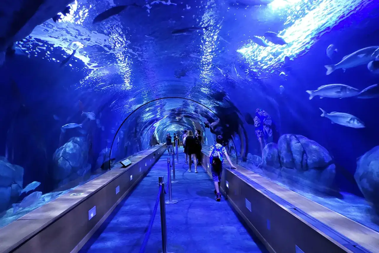 Tunnel sottomarino in un museo oceanografico, con persone che camminano tra pesci e rocce.