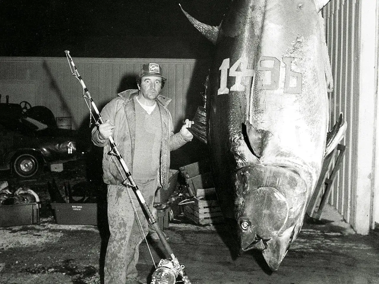 Uomo con canna da pesca accanto a un tonno enorme, forse il tonno più grande mai pescato.