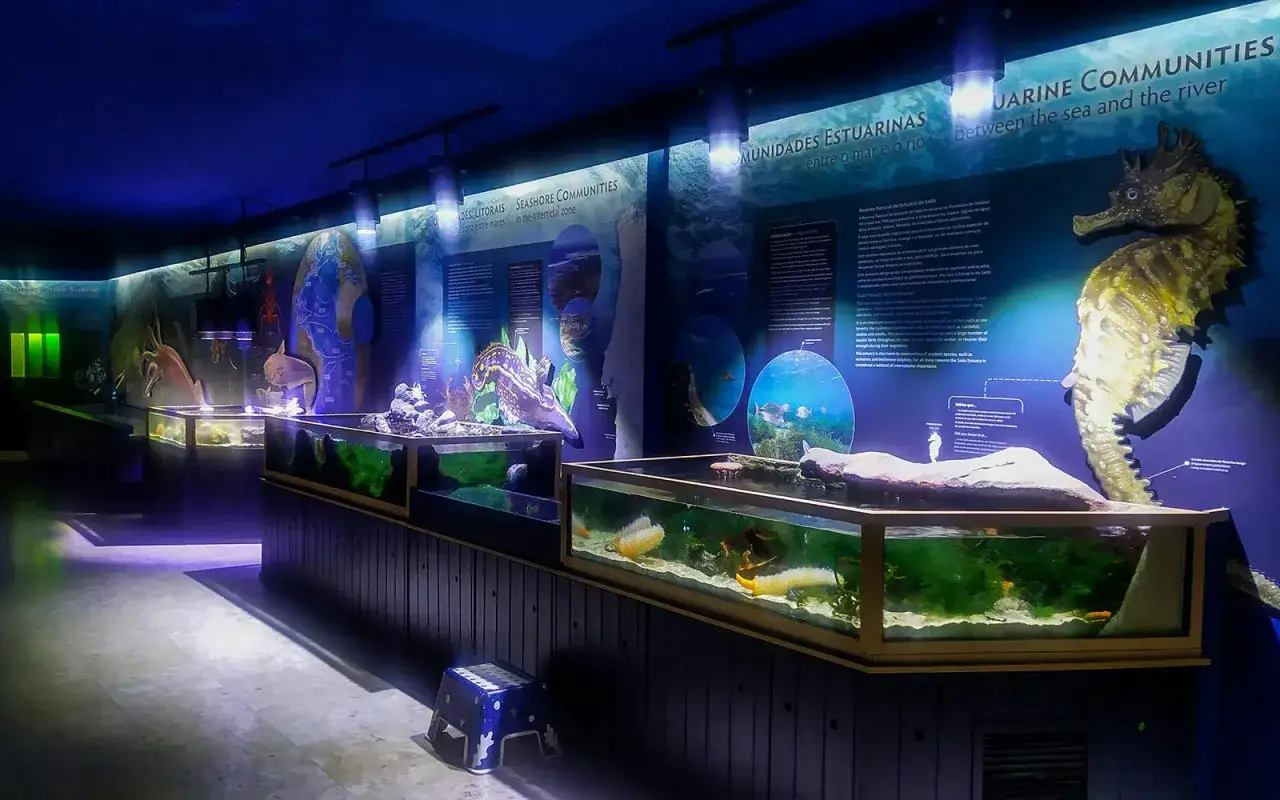 Un'esposizione affascinante al museo oceanografico di Lisbona, con acquari e pannelli informativi che illustrano la vita marina.