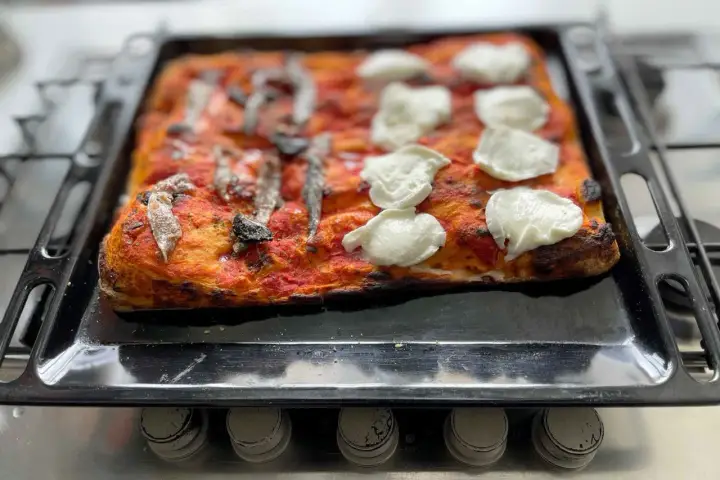 Pizza fatta in casa con pomodoro, acciughe e mozzarella appena sfornata su una teglia.